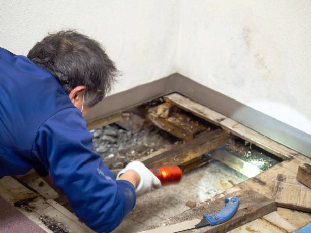 Crawl Space Mold Removal in Emporia, VA