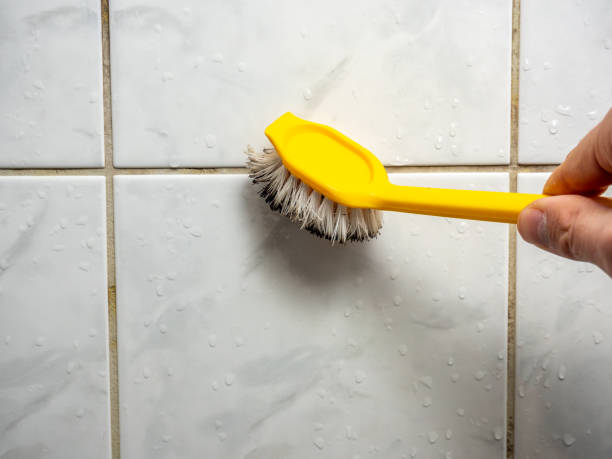 Best Mold Removal Company Near Me  in Emporia, VA