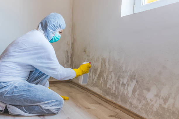 Mold Testing and Removal in Emporia, VA