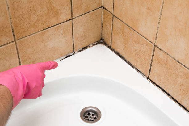 Best Water Damage Restoration  in Emporia, VA